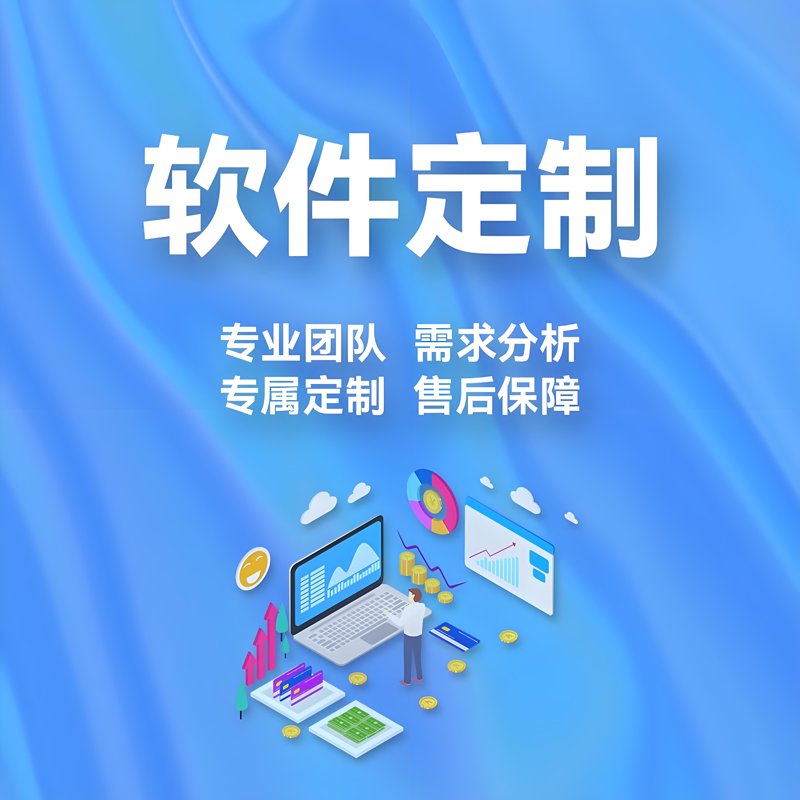 软件定制:企业成长的催化剂